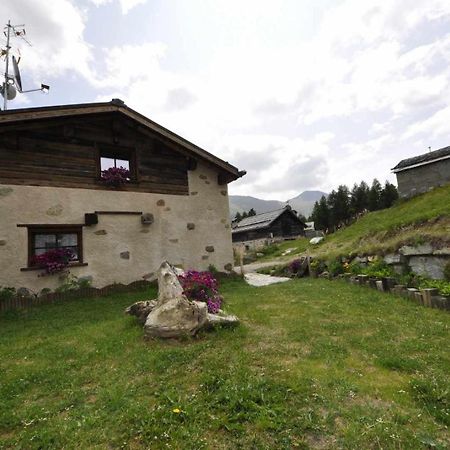 Mountain Chalet Scoiattolo By Livigno Accomodation Exterior foto