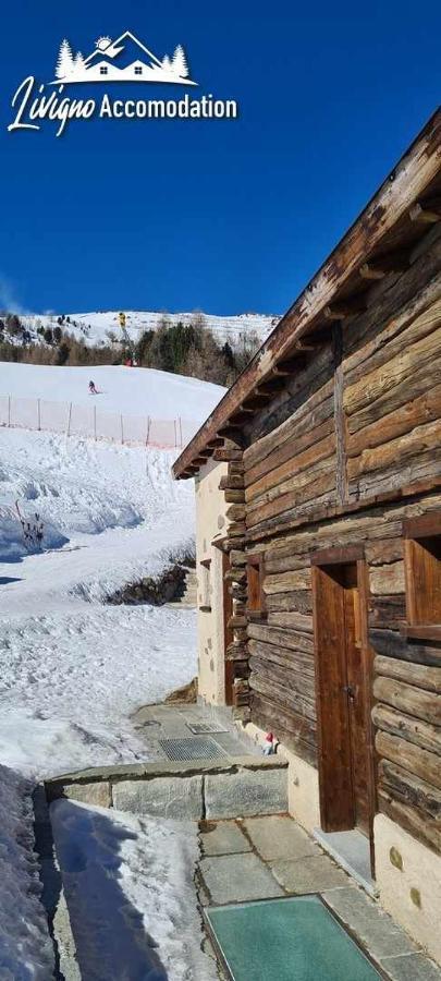 Mountain Chalet Scoiattolo By Livigno Accomodation Exterior foto