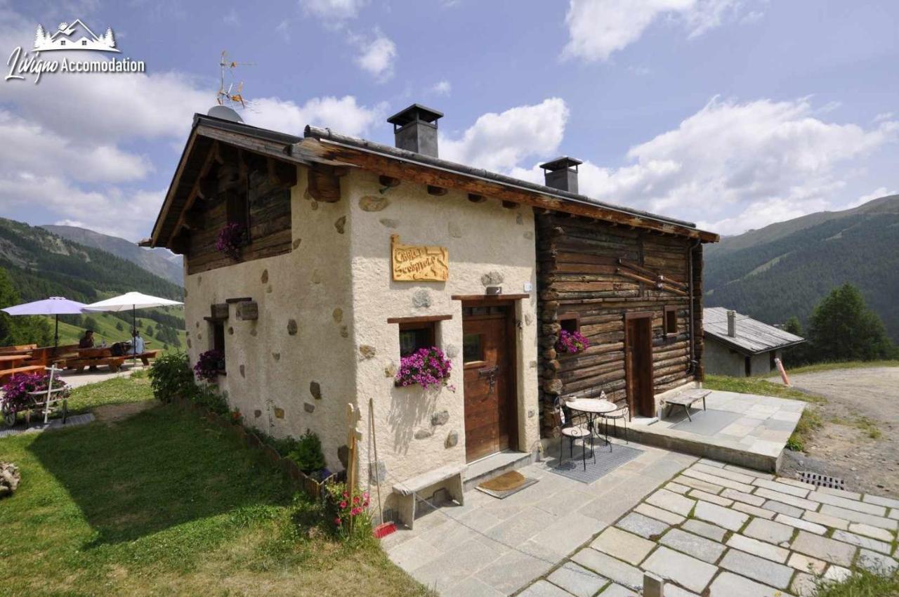 Mountain Chalet Scoiattolo By Livigno Accomodation Exterior foto