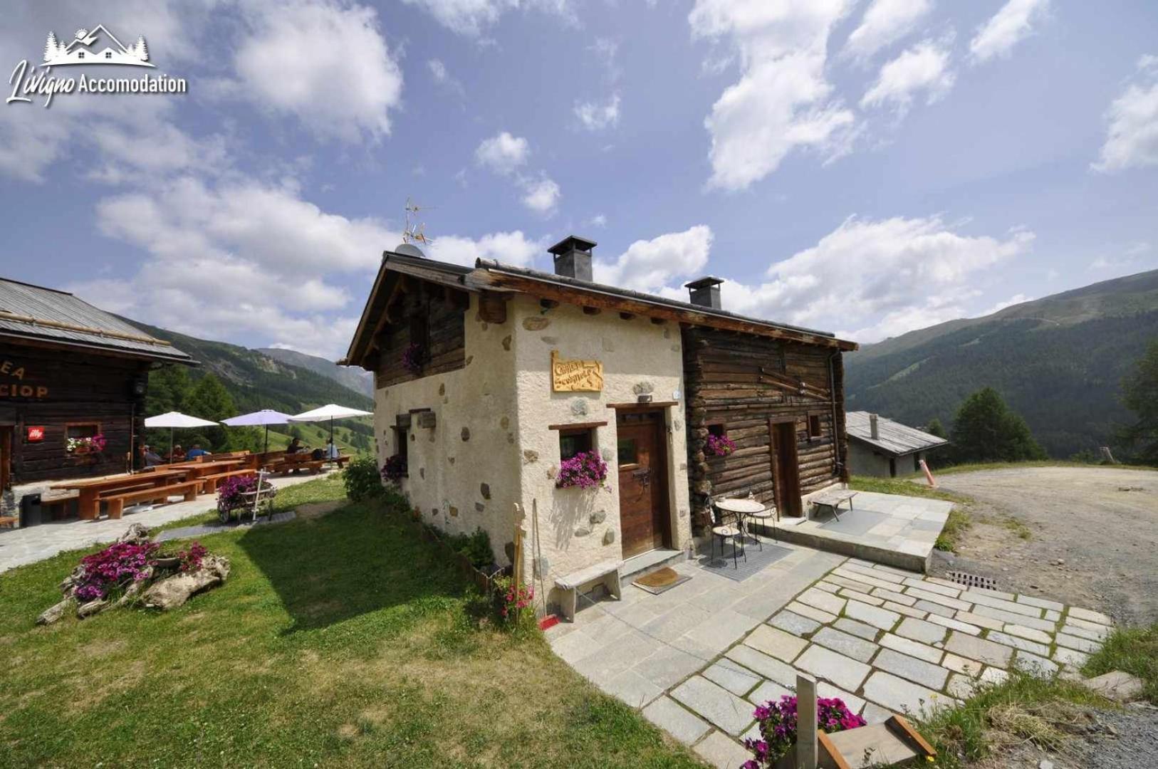 Mountain Chalet Scoiattolo By Livigno Accomodation Exterior foto
